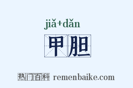 甲胆是什么意思的图片